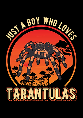 Tarantula Gift