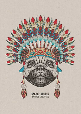 Pug Dog
