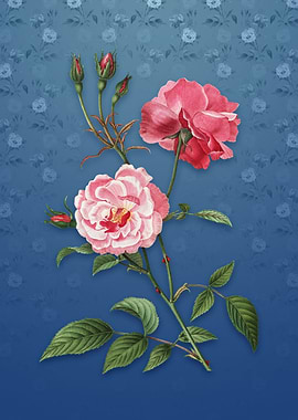 Vintage Ever Blowing Rose