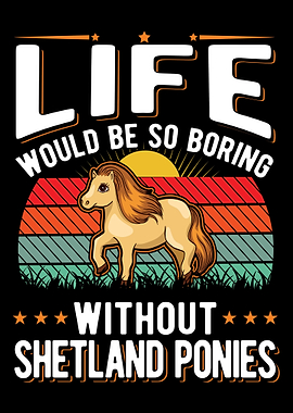 Shetland Pony Shetty