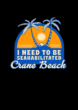 Crane Beach Summer Funny