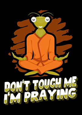 Kung Fu Martial Arts