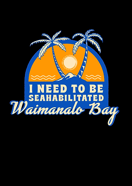 Waimanalo Bay Beach Summer