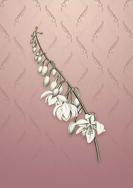 Vintage Giant Cabuya