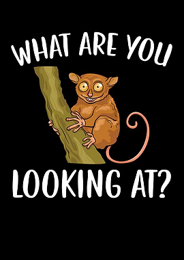 What Are You Looking At