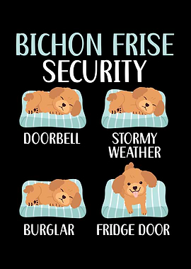 Bichon Frise Security