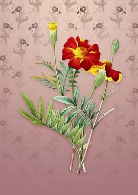 Vintage Mexican Marigold