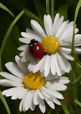 ladybug