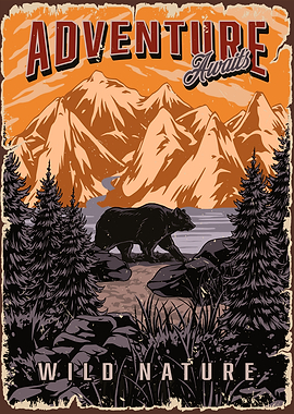 Adventure Wild Nature Bear