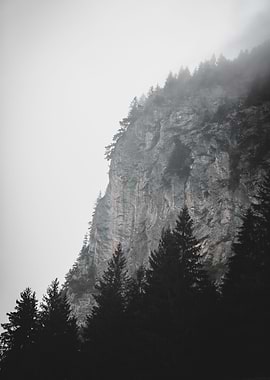 Foggy Swiss Mountain