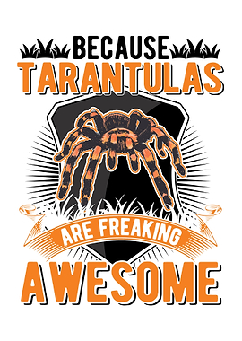 Tarantula Gift
