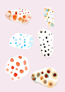 My rock collection 2