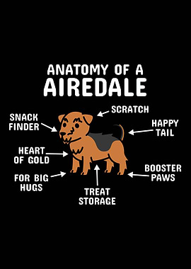 Anatomy Airedale Terrier