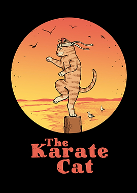 The Karate Cat