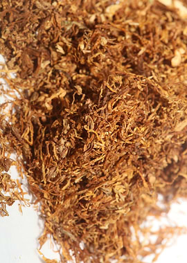 Tobacco leaves close up