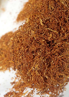 Tobacco leaves background