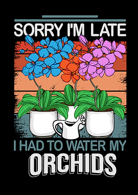 Orchid Plant Lover Florist