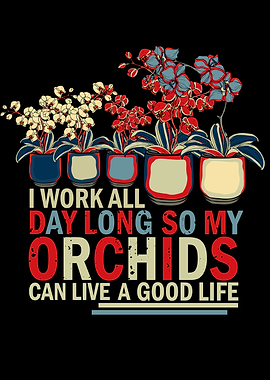 Orchid Growing Plant Lover