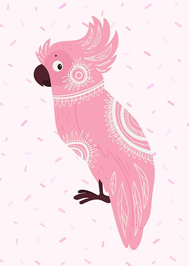 Pink Cockatoo