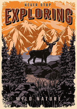 Never Stop Exploring