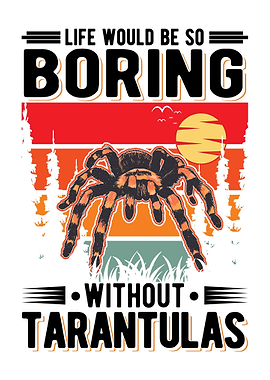 Tarantula Gift
