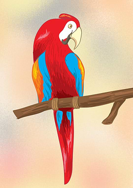Scarlet Macaw