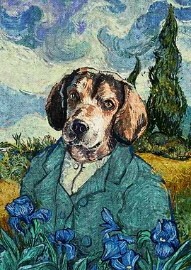 Beagle in the wheat field