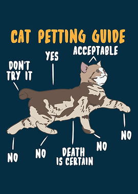Cat Petting Guide