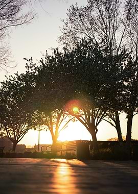 Sunset at the Park
