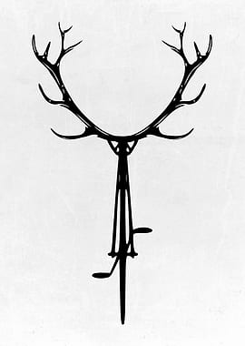 MTB Enduro and Bicycle