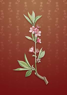 Vintage Pink Flower on Red