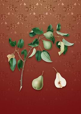 Vintage Pear on Falu Red