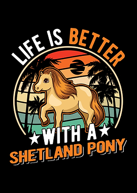 Shetland Pony Shetty