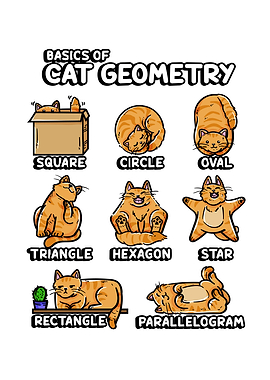 Basic Cat Geometry teacher