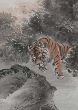 Tiger Licking Its Paw