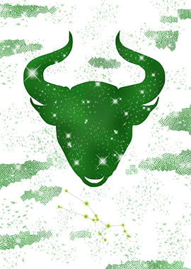 Taurus Constellation