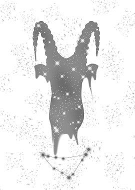 Capricorn Constellation