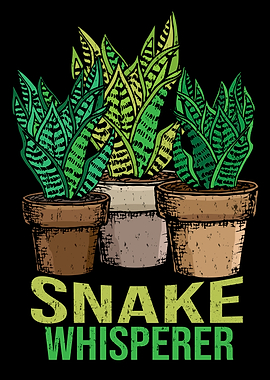 Snake Plant Lover Florist