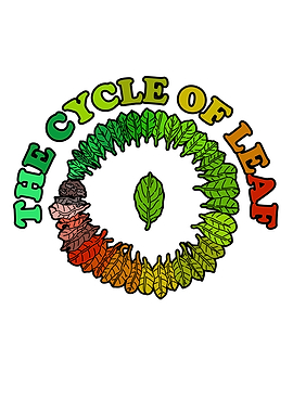 The Cycle of Leaf Colorful