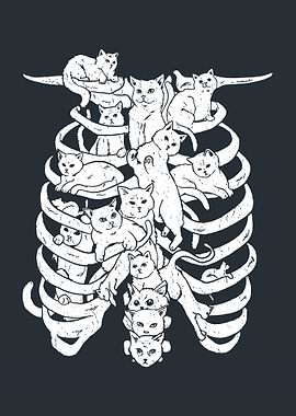 Cat Spine