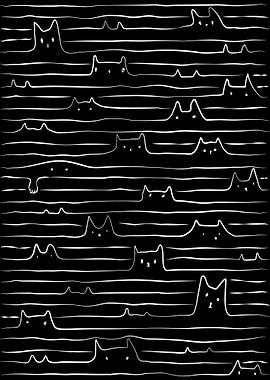 Signal wave cat