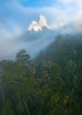 Patagonian Landscape