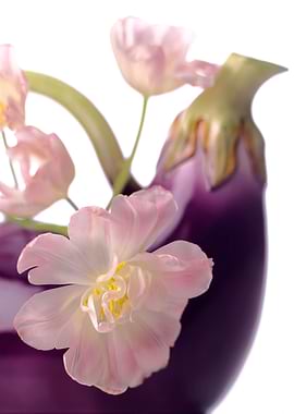 Tulips in Eggplant