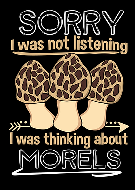 Mushroom Hunting Morels