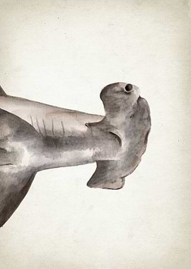 Hammerhead Shark Art Part