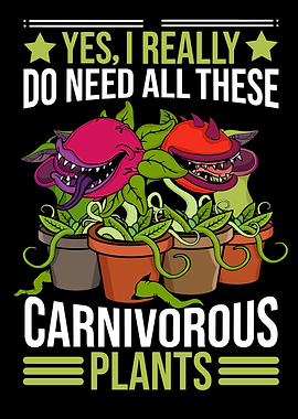 Fly Trap Carnivorous Plant