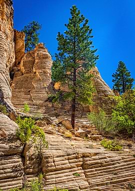 Lick Wash Trail Hike