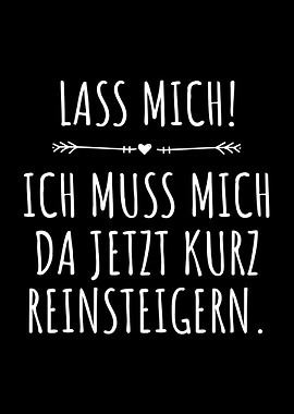 Lass Mich Reinsteigern