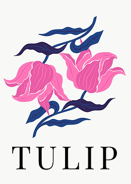 Abstract Pink Tulip Flower