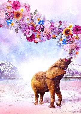 Daria Supreme Majestic